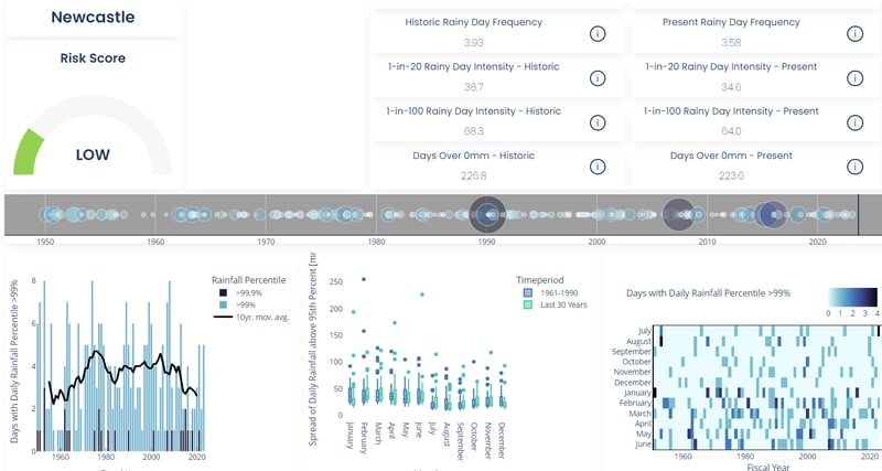 Newcastle precipitation